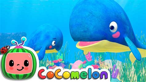 youtube cocomelo|cocomelo you tube whale.